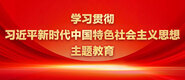 逼逼里爆操鸡巴网站还要学习贯彻习近平新时代中国特色社会主义思想主题教育_fororder_ad-371X160(2)